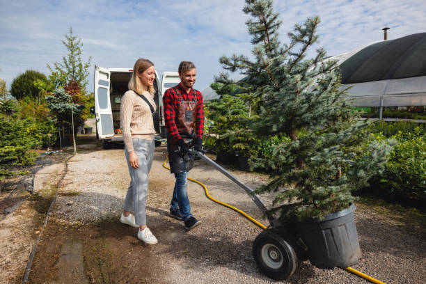 Best Tree Risk Assessment  in White City, UT